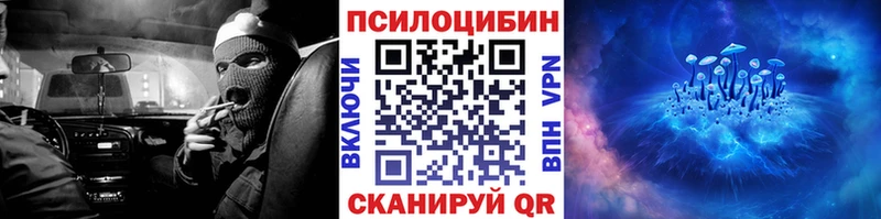 наркотики  Пересвет  площадка состав  Псилоцибиновые грибы мицелий 