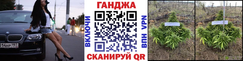 МЕГА   Пересвет  Бошки марихуана план  наркотики 
